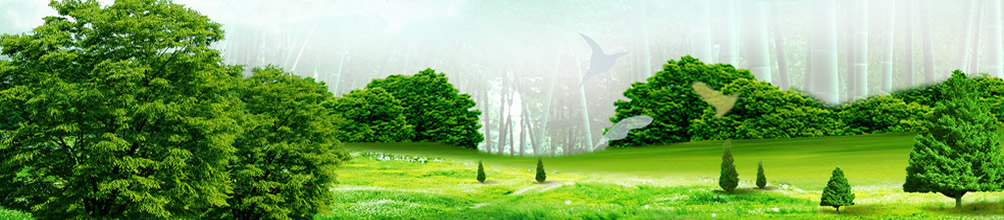 除砂除泥一體機